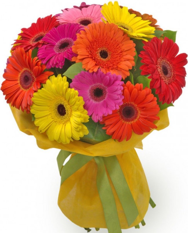 3180b260d0fa33ce99fcb68733e698ef-flor.detail.gallery