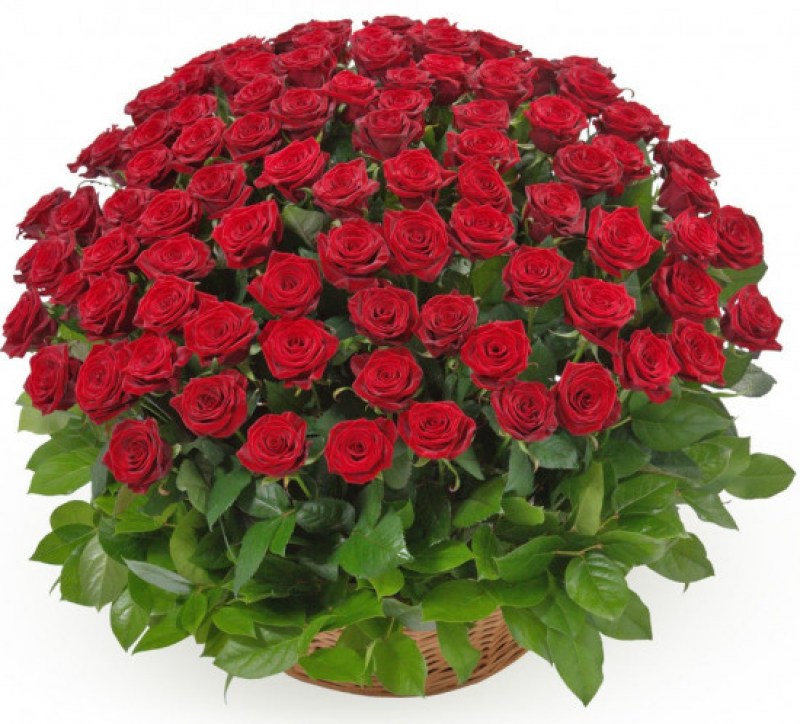 36339892e89637bc50a83d015c0dc505-flor.detail.gallery