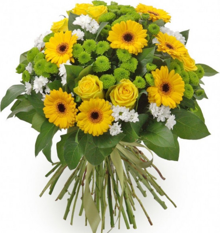 9467e51a57915136fd079393a445de71-flor.detail.gallery